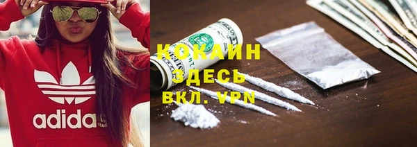 амф Ладушкин