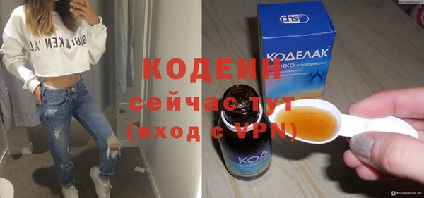 амф Ладушкин