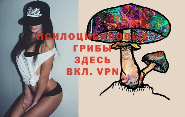 амф Ладушкин