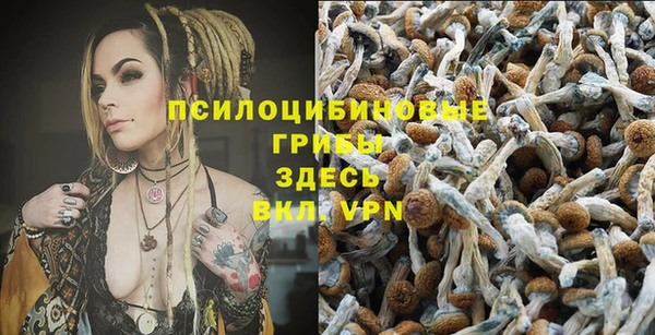 амф Ладушкин