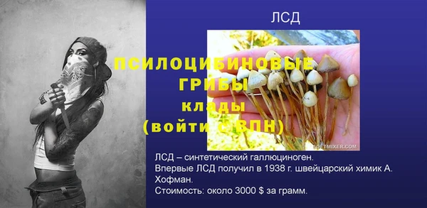 амф Ладушкин