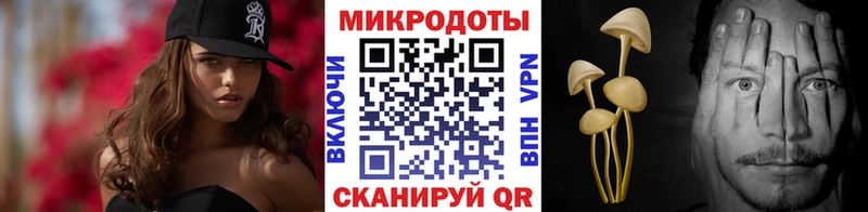 Псилоцибиновые грибы Psilocybe  Купить  Хотьково 